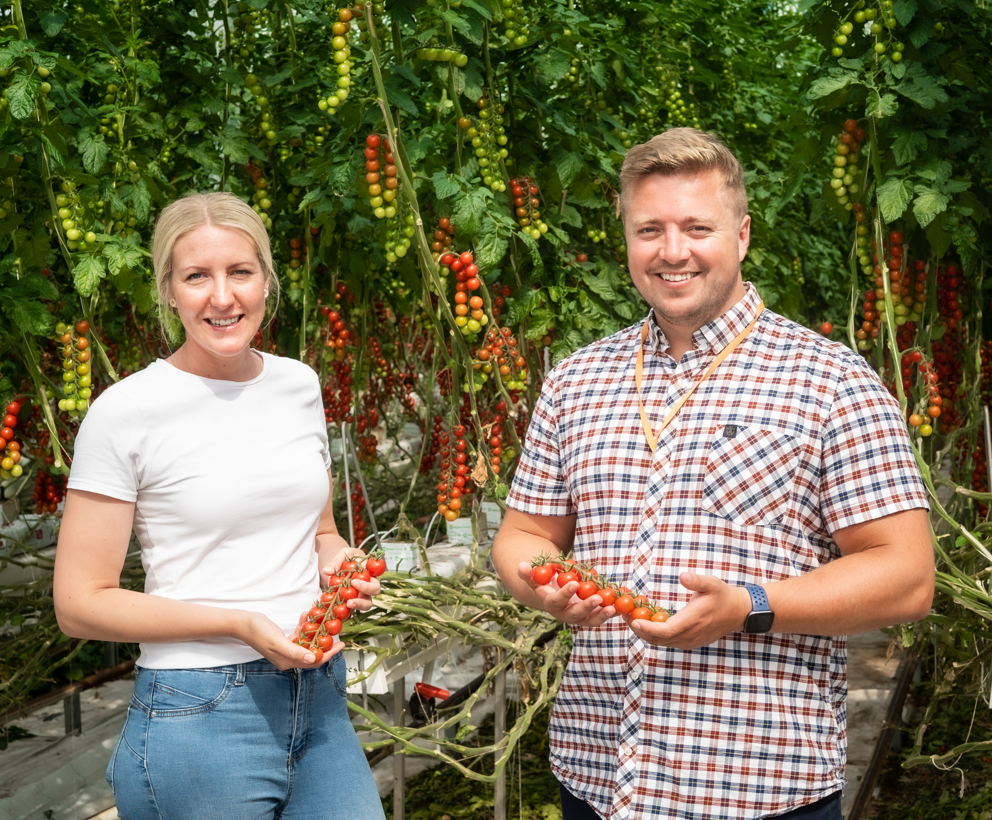 Tasty tomatoes are order of the day as James Hall & Co. Ltd grows relationship with Flavourfresh Salads