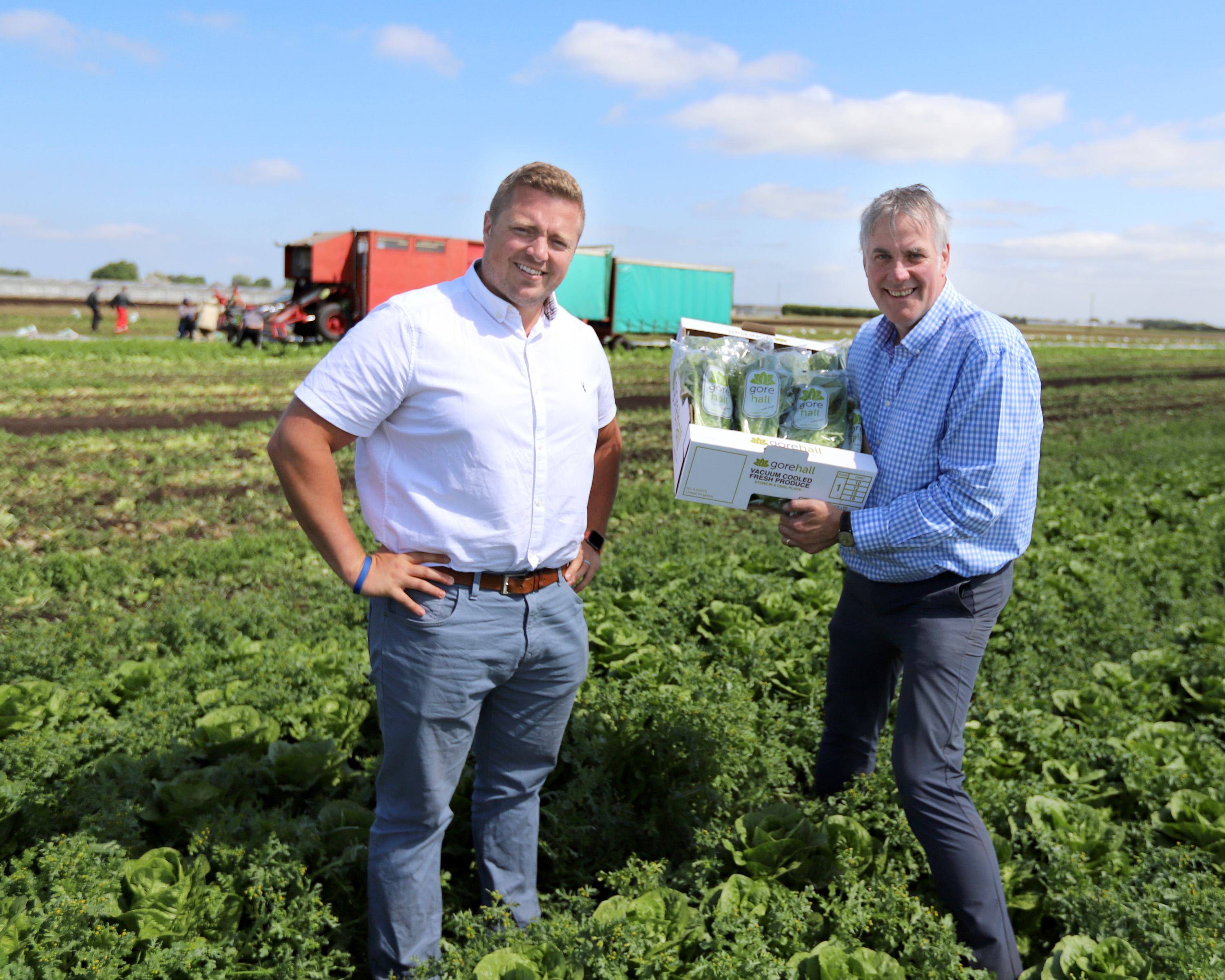 All roads lead to Romaine as new lettuce lines land on SPAR shelves