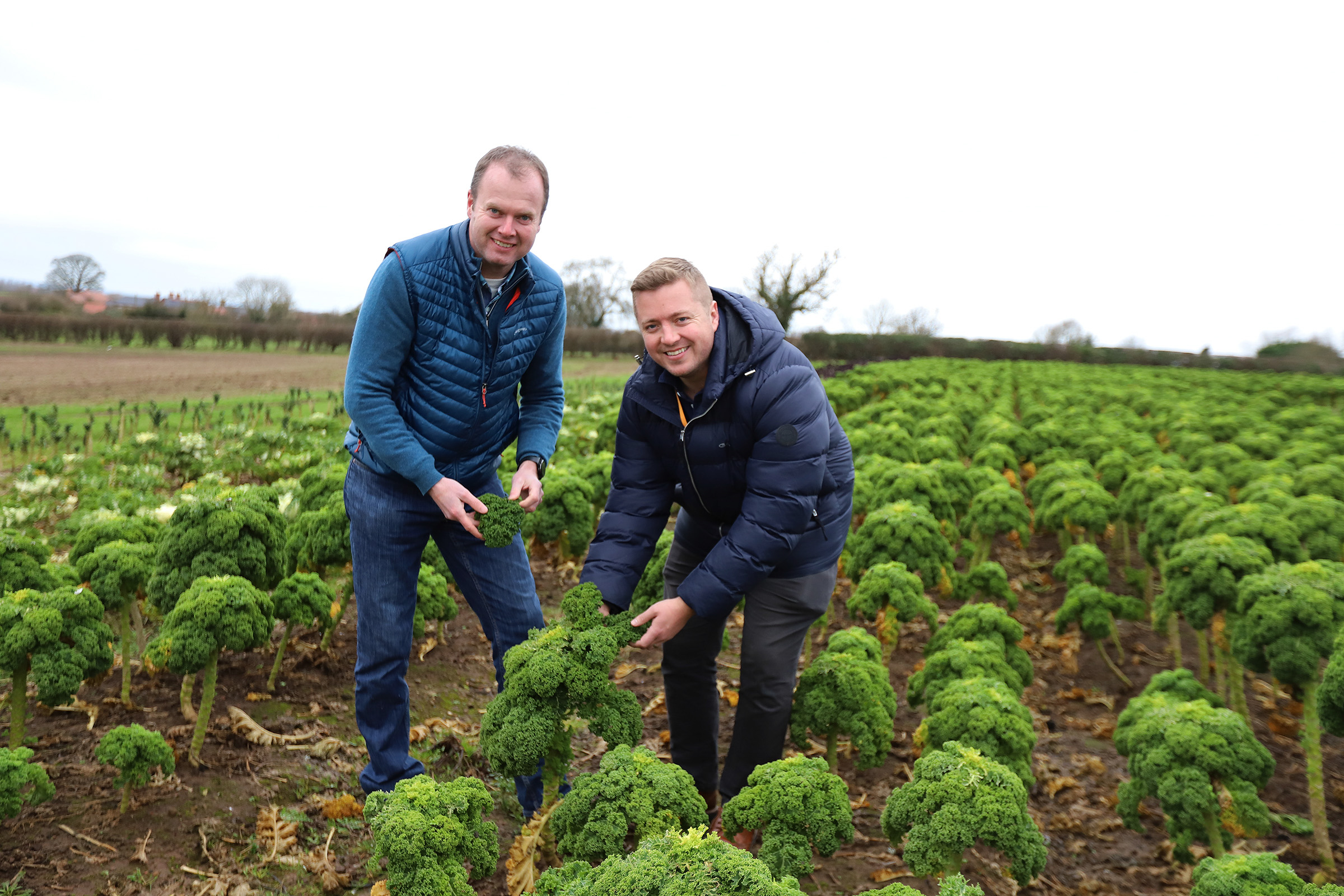 Philip Dodd, Managing Director of Herbs Unlimited, and Wilf Whittle, Fresh Trading Manager at James Hall & Co. Ltd, look at the curly kale which is on sale in SPAR North of England stores.