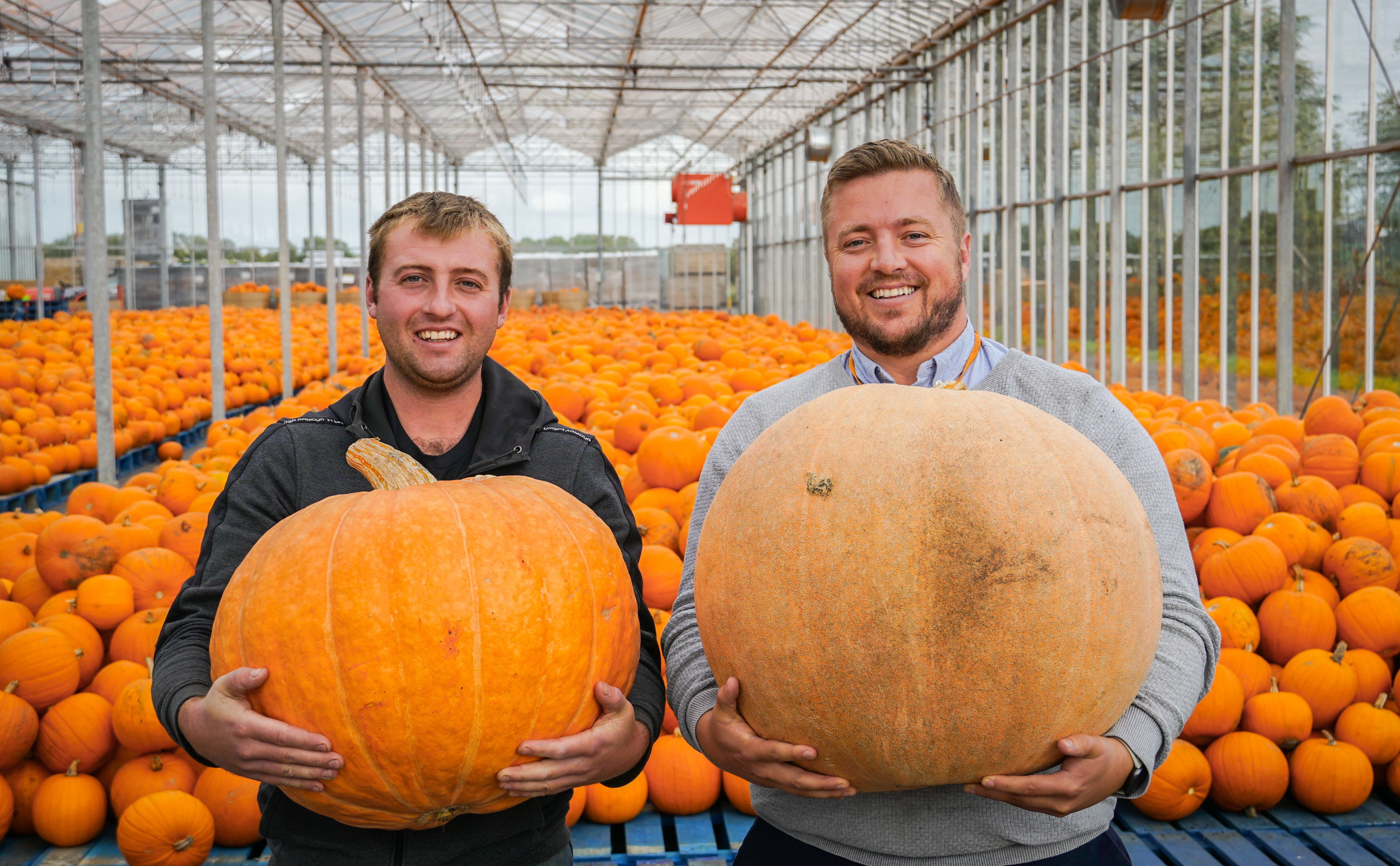 Pumpkins aplenty as James Hall & Co. Ltd supports Lancashire growers T&E Forshaw ahead of Halloween